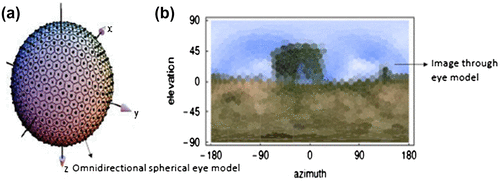 Figure 20. Spherical omnidirectional eye model. An image captured by the device. (Adapted from Neumann 2002).