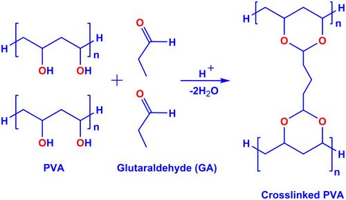 Scheme 1 Schematic illustration of the crosslinking reaction of PVA with GA vapor.