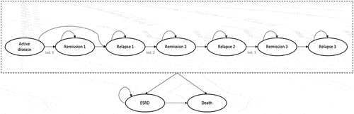 Figure 1. Markov model for AAV.