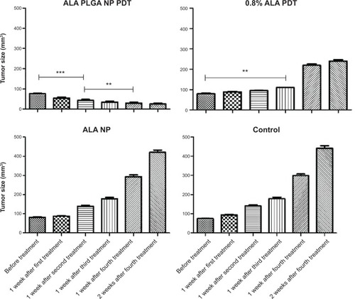 Figure 4 Measurement of tumor size.Notes: **P<0.01; ***P<0.0001. Data presented as means ± standard deviation from at least three independent experiments.Abbreviations: ALA, 5-aminolevulinic acid; PLGA, polylactic-co-glycolic acid; NP, nanoparticle; PDT, photodynamic therapy.