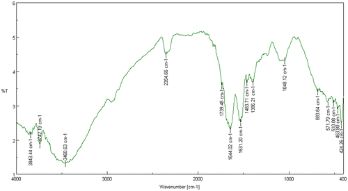 Figure 6. IR spectrum of Acinetobacter sp.