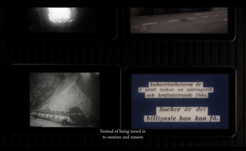 Figure 7. Kalle Brolin, Jag är Skåne/I am Scania (2016), video, ca 23 min. Images courtesy of the artist.