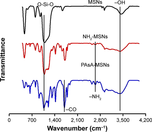 Figure S1 FTIR spectra of MSNs, NH2-MSNs and P-MSNs.Abbreviations: MSN, mesoporous silica nanoparticle; PAsA, polyaspartic acid.