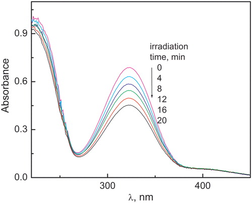 Figure 6. Time evolution of the absorption spectrum of SFU 0.5 mM upon PN-sensitized irradiation vs. PN in H2O (pH 12).