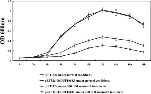 Figure 4. Growth of E. coli recombinants overexpressing OsDUF1664.3 under drought (mimic) stress. Note: The OD values of pET-32a and pET32a-OsDUF1664.3 was measured at 0, 2 h, 4 h, 6 h, 8 h, 10 h, 12 h, 14 h, 16 h and 18 h under normal conditions and 300 mmol/L mannitol treatment.