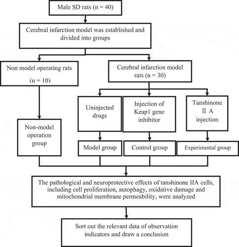 Figure 1. The specific research process.