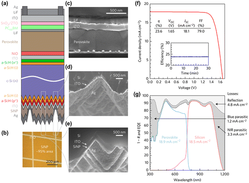 Figure 4. (a) Schematic of the 2-T perovskite/silicon tandem solar cell (not to scale) with Si heterojunction solar cell as the bottom subcell. (b) Optical microscopy image of the silicon-nanoparticle (SiNP)-patterned rear side of the silicon cell before silvering. (c) Cross-sectional SEM image of the perovskite top cell, (d) the rear side of the silicon cell in an area with no silicon nanoparticles, and (e) the rear side of the silicon cell in an area with silicon nanoparticles. (f) J–V curve (NREL-certified) and efficiency at the maximum power point (inset) of the champion tandem device. (g) Total absorbance (1−R, where R is the reflectance; dashed grey line), EQE of the perovskite top cell (solid blue line), and EQE of the silicon bottom cell (solid red line).