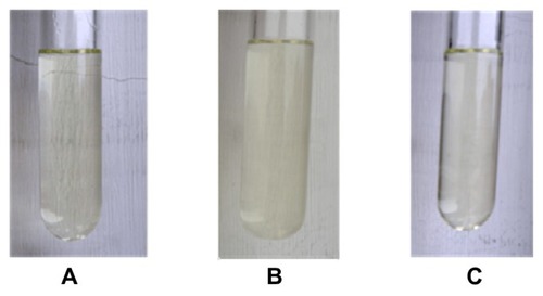 Figure 4 Optical microscope images of nanoemulsion. (A) The original nanoemulsion. (B) After centrifugation at 3000 rpm for 5 minutes. (C) After incubation at 40°C for 30 days.Notes: Particle size (nm): 300 ± 100, 310 ± 110, and 315 ± 113. Zeta potential: −17.6 ± 4.3 mV, −16.6 ± 6.2 mV, and −16.2 ± 6.5 mV.