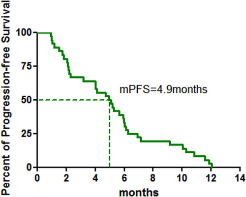 Figure 2 Kaplan–Meier graph for the progression-free survival (PFS) in patients with SqCC (n = 36).