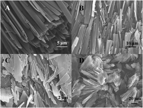 Figure 4. SEM images of the toluene xerogels of C20-Glu-Me (A), C20-Ser-Me (B), C20-Ala-Me (C) and C20-Ala-Et (D) at a concentration of 8 w/v%.