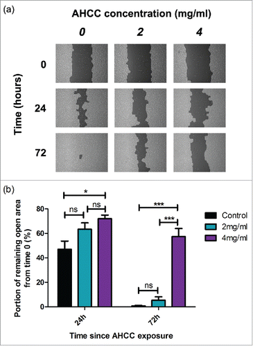 Figure 4. a-b. The influence of AHCC on MDA-MB-231 cell motility. (a) Photographs from TScratch program for one sample over a period of 72 hours. (b) Combined data from 3 experiments. Data are presented as mean ± SEM. Significance is represented by * for p < 0.05 and *** for p < 0.001 and non-significance by ns by Tukey's post-hoc test. Cells were grown to 90–100% confluence in a 6 well plate and scratched with a pipette tip down the middle of the well. Photos were taken on a light microscope.
