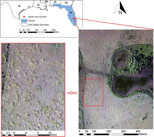 Figure 1. Study area: left corner highlight the area seriously impacted by invasive vegetation Cogon Grass.