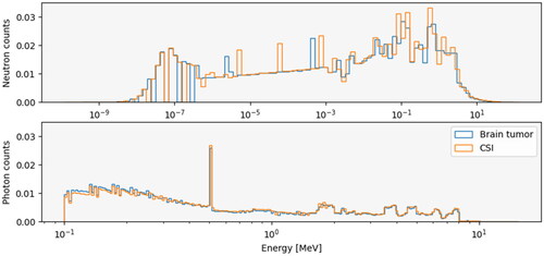 Figure 2. Neutron spectra (upper panel) and photon spectra (lower panel) for the brain tumor patient (blue lines) and CSI patient (orange lines). the spectra are calculated from the phase space energies collected during the simulations. All spectra are normalized such that the area under the curve equals to 1.