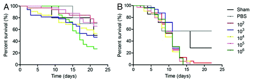 Figure 3. Log-Rank plots of the survival of G. mellonella after infection with different concentrations of H. capsulatum ATCC G217B yeast cells. G. mellonella infected and incubated at (A) 25°C or (B) 37°C. Controls included uninfected larva (Sham) and larva injected with PBS. n = 32 larvae per group.