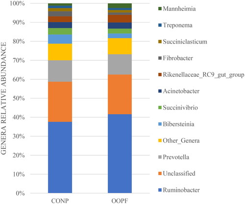 Figure 4. Genera detected in in microbiota from rumen liquor fermented with the control feed without olive oil pomace (CONP) or the treated feed with olive oil pomace (OOPF). Only Genera with a relative abundance > 1% are reported.