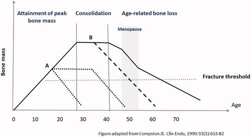 Figure 2. Timing of premature ovarian insufficiency (POI) onset and its effect on bone mass across the lifespan. Black line represents the normal physiological changes in bone mass in females across the lifespan. A (dotted line), POI onset during puberty or adolescence may result in insufficient peak bone mass accrual ± - premature bone loss; B (dashed line), POI onset in adulthood leads to premature ± accelerated bone loss. Figure adapted from Compston [98].