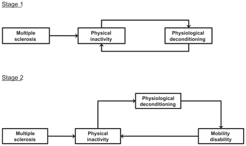 Figure 1 The two-stage cycle of physical inactivity, physiological deconditioning, and walking impairment in persons with MS.
