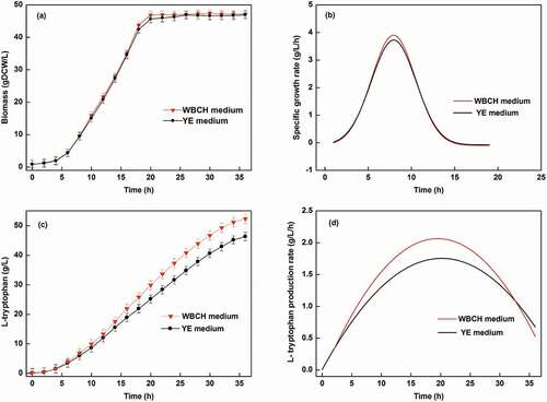 Figure 4. Time courses of (a) biomass formation; (b) specific growth rate; (c) L-tryptophan titer; and (d) L-tryptophan production rate by E. coli using WBCH medium and YE medium.