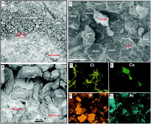 Figure 8. Scanning electron microscopic view of the surface textures and mineralogy of the exposed surface of outwash pan sediment. A, B, Disaggregated detrital silicates locally have a veneer of salt encrustations. C, Backscatter electron image, showing the loose granular texture with equant quartz and albite grains and kaolinite flakes. D, E, Energy-dispersive X-ray maps of area in C (reduced scale) with distributions of chlorine and calcium depicting distribution of evaporitic salts. D, Chlorides are present as micron-scale veneers. E, Composite crystals of calcite. F, G, X-ray maps of silicon and aluminium, showing distributions of silicates, especially quartz, albite and kaolinite.