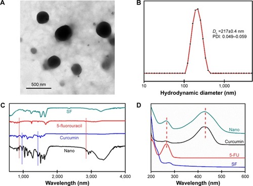 Figure 1 Characterization of silk fibroin (SF) nanoparticles after loading with 5-fluorouracil (5-FU) and curcumin.Notes: (A) TEM and (B) hydrodynamic diameter obtained by DLS. (C) FTIR. (D) UV-vis curve of the binary drug-loaded nanoparticles (Nano), free curcumin, free 5-FU, and SF, respectively.Abbreviations: TEM, transmission electron microscopy; FTIR, Fourier transform infrared spectroscopy; UV-vis, ultraviolet visible spectroscopy; DLS, dynamic light scattering.