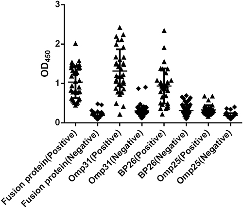 Figure 1 Dotplot of iELISAs using the fusion protein, Omp31, BP26 and Omp25 as antigens to detect canine brucellosis-positive and brucellosis-negative sera.