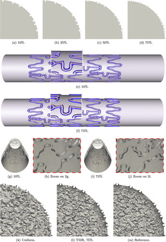 Figure 2. Geometry ((a)–(f)) and mesh ((g)–(j)) of artery lumen with Xience V stent in cross-section and longitudinal view for different indentation percentages. Figures (k)–(m) show the different mesh refinements for 75% indentation.