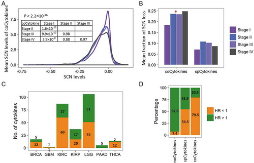 Figure 5. Clinical relevance of cytokine categories. (A) Distributions of mean somatic copy number (SCN) levels of coCytokines (y axis) across different pathological stages. (B) Comparison of the mean fraction of coCytokine and spCytokine SCN losses (y axis) and pathological stages (x axis). For each pathological stage, average fractions (across cancer types) of high-frequency (> 25% across specimens) SCN loss were calculated. The red star denotes a significant difference (p < 0.05). (C) The number of cytokines that are significantly associated with patients’ overall survival (FDR < 0.1) in each cancer type. Numbers of significant cytokines are shown. Bars are colored on the basis of the direction of the effect, i.e., orange for protection (hazard ratio (HR) < 1) and green for damaging (HR > 1). (D) Percentages of protection and damaging effects of cytokine categories. The percentages were calculated from cytokines that were significantly associated with overall survival (FDR < 0.1).