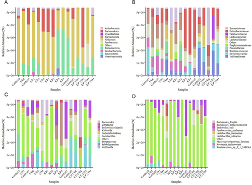 Figure 4 Vitamin D changes intestinal bacterial community structure in Klebsiella pneumoniae-induced rats. (A–D) Bacterial community structure in the Control, VD, KP, and KP+VD group samples was assessed based on phylum (A), family (B), genus (C), and species (D) levels.