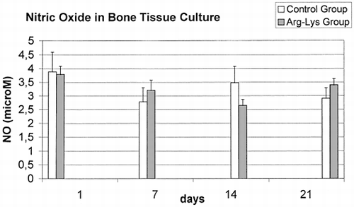 Figure 3. Nitric Oxide values in control group and Arg-Lys group bone cultures.