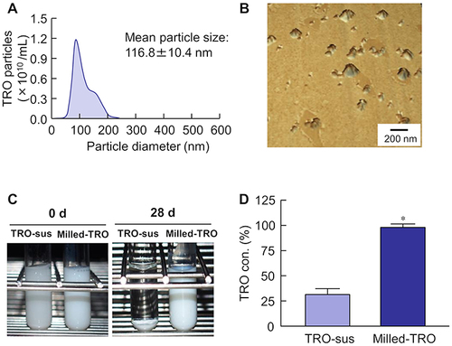 Figure 1 Characteristics of nano-dispersions containing TRO. (A) Particle distribution and (B) SPM image of dispersions containing milled-TRO. (C) Photographs and (D) stability of dispersions containing TRO exposed (milled-TRO) or not exposed (TRO-sus) to bead milling. n=8. *P<0.05 vs TRO-sus for each category (Student’s t-test). The particle size of milled-TRO was in the range of 50–220 nm, and the stability of dispersions was enhanced by bead milling.