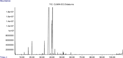 Figure 1. TIC of cumin essential oil