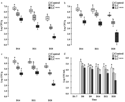 Figure 3. Effect of LC+mcra on reducing colonization of ST in mice gut intestine. The bacterial numbers of ST at 14, 21, and 28 days in cecum (a), jejunum (b), ileum (c), and feces (d) from ST-infected mice with no probiotic treatment, LC, or LC+mcra 1-week pretreatment were investigated in triplicate. Different letters (‘a’ through ‘c’) at individual time point (day 14, 21, or 28) are significantly different (p < 0.05) in the numbers of ST among control, LC pretreatment, and LC+mcra pretreatment.