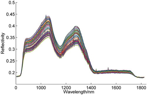 Figure 3. Raw spectra of rice samples.