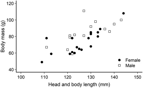 Figure 2. Body mass and length of 14 male and 18 female kiore trapped on Slipper Island, New Zealand, in March 2017. Head and body length were measured from nose to pelvic girdle.