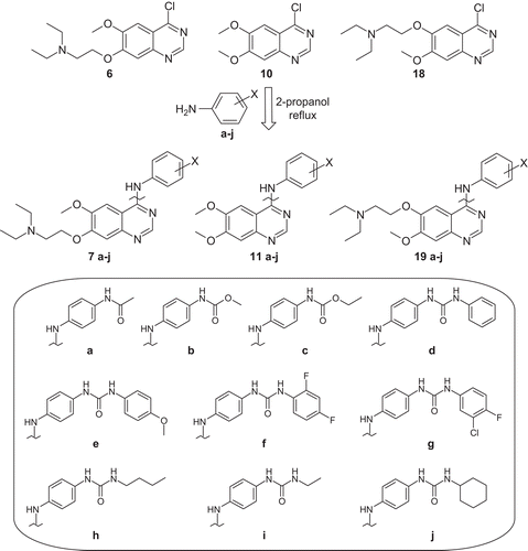Scheme 3.  Synthesis of targeted derivatives 7a–j, 11a–j, and 19a–j.