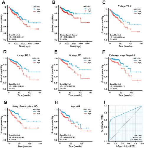 Figure 3 MIR31HG is a prognostic biomarker for colorectal cancer patients. (A) Kaplan–Meier curve for OS and (B) DSS in colorectal cancer patients. (C–H) Subgroup analysis of OS in colorectal cancer patients. (I) ROC curve prediction for colorectal cancer depended on MIR31HG expression in the TCGA dataset.