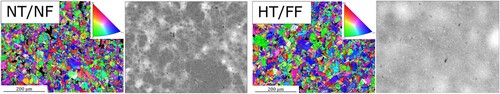 Figure 3. EBSD and EDS of the same area of NT/NF (left) and HT/FF (right) cross-section after sintering, showing inverse pole figure and EDS mapping, showing the Ni distribution as brighter areas, of the same area. EBSD indexing is based on FCC, BCC, and Fe3C.