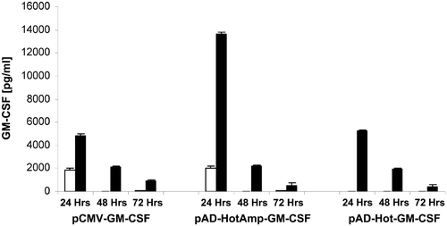 Figure 4. GM-CSF production levels. Cells were heat-shocked at 42°C for 30 min 24 h post-transfection (▪) or kept at 37°C as controls (□). Supernatants were harvested 24, 48 and 72 h after transfection. GM-CSF levels in the supernatants were assayed using ELISA. Each bar represents the GM-CSF production within a 24 h period. Values shown are means of triplicate experiments (±SEM). The GM-CSF levels, 24 h after heat shock, produced by pAD-HotAmp-GM-CSF were compared to pAD-Hot-GM-CSF (p < 0.001) and the CMV control vector (p < 0.001) and to the non-heat-shocked control of pAD-HotAmp-GM-CSF (p < 0.001).