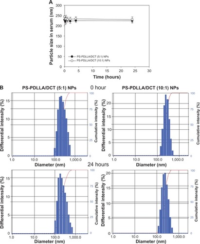 Figure 3 Mean diameter of the developed NPs in 50% FBS.Notes: (A) Change in the particle size (nm) of PS-PDLLA/DCT NPs in serum was monitored for 24 hours; (B) size distribution of developed NPs in serum at 0 and 24 hours.Abbreviations: DCT, docetaxel; NP, nanoparticle; PS-PDLLA, poly(styrene)-b-poly(DL-lactide).