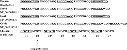 Figure 1. Comparisons of tandem repeat sequence in humans, sheep, goat, cattle and chicken. Tandem repeat sequences were obtained from GenBank at the National Center for Biotechnology Information (NCBI), including those of human (Homo sapiens, BAG32277.1), sheep (Ovis aries, NP_001009481.1), goat (Capra hircus, NP_001301176.1), cattle (Bos taurus, NP_001258555.1) and chicken (Gallus gallus, in this study). Arrows indicate the hexapeptide deletion polymorphism found in this study. Hexapeptide repeat units were named from U1 to U7 in turn. Word spacing and underlines discriminate consecutive tandem repeat units.