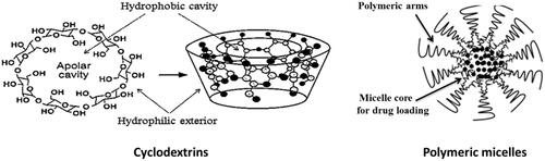 Figure 4. Cyclodextrins and polymeric micelle as nanodrug delivery systems.