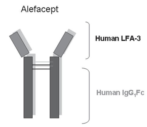 Figure 1 Overview of the structure of the human fusion protein alefacept.Abbreviations: IgG, immunoglobulin G; LFA, leukocyte function antigen.
