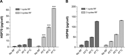 Figure 14 Induction of (A) HSP70 and (B) HSP90 after one or three cycles of RF-induced dextran-coated LSMO-mediated hyperthermia. ***P<0.001, one-way analysis of variance followed by Dunnett’s test.Abbreviations: HSP, heat shock protein; LSMO, La0.7Sr0.3MnO3; RF, radiofrequency.