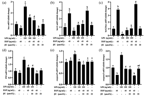 Figure 9. Effects of EGF and β-carotene on pro-apoptotic and anti-apoptotic genes expression induced by LPS.