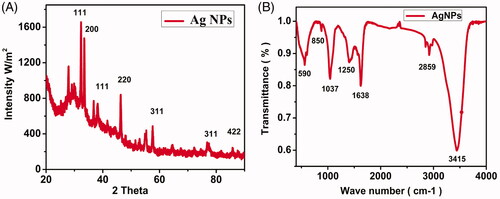 Figure 3. XRD spectrum of AgNPs displaying characteristic diffraction peaks (A) and FTIR spectrum of the biosynthesized AgNPs shows different functional groups involved in capping (B).