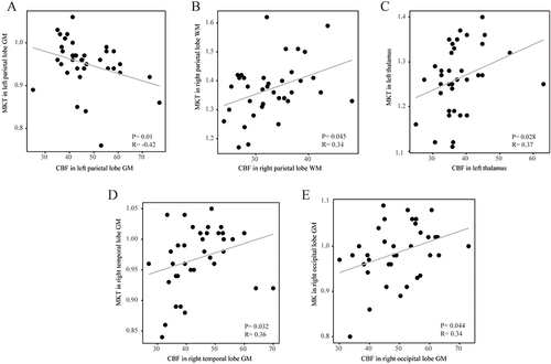 Figure 2 The correlation analysis of MK and CBF as well as MKT and CBF, coefficient R and the p-value <0.05 are show in above. GM, gray matter; WM, white matter; MK, mean kurtosis; MKT, mean kurtosis tensor; CBF, cerebral blood flow; Spearman’s and Pearson’s correlation was used between the imaging measurements, and a P value < 0.05 was considered to be significant. (A) The correlation analysis of MKT and CBF in left parietal lobe GM. (B) The correlation analysis of MKT and CBF in right parietal lobe WM. (C) The correlation analysis of MKT and CBF in left thalamus. (D) The correlation analysis of MKT and CBF in right temporal lobe GM. (E) The correlation analysis of MK and CBF in right occipital lobe GM.