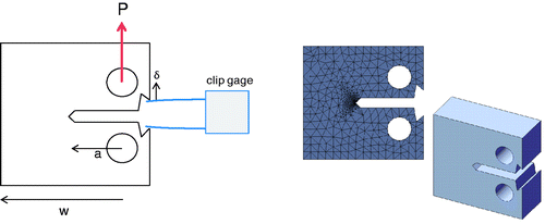 Figure 16. Model of compact tension specimen.