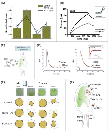 Figure 2. For figure legend, see page 5.