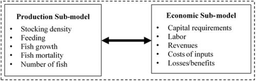 Figure 1. Model framework to simulate the economic performance of sea bass production.