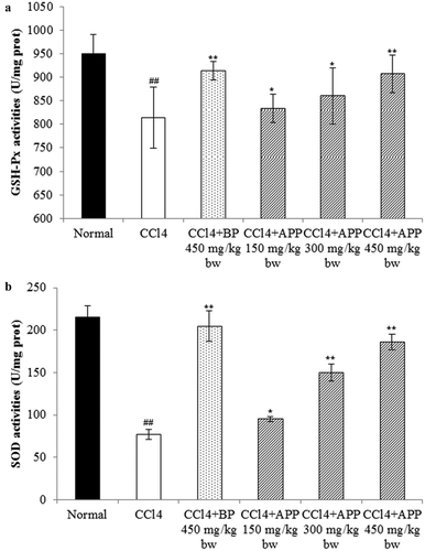 Figure 8. Effects of APP on the enzymic activities of GSH-Px (a) and SOD (b) in mice liver tissues after treatment with CCl4. All the values are expressed as mean ± SD (n = 10). Mice were treated intragastrically with APP (150, 300 and 450 mg/kg bw) and BP (450 mg/kg bw) once a day for 7 consecutive days before a single administration of 0.8% CCl4. ##p < 0.01, significantly different compared to the normal group. *p < 0.05, **p < 0.01, significantly different compared to the CCl4-intoxicated group.Figura 8. Efectos de APP en la actividad enzimática de GSH-Px (a) y SOD (b) en los tejidos de hígado de ratón después del tratamiento con CCl4. Todos los valores se expresan como promedio ± SD (n = 10). Los ratones fueron tratados intragástricamente con APP (150, 300 y 450 mg/kg bw) y BP (450 mg/kg bw) una vez al día durante 7 días consecutivos antes de una única administración de 0,8% de CCl4. ##p < 0,01, significativamente diferente en comparación con el grupo normal. *p < 0,05 **p < 0,01 significativamente diferente en comparación con el grupo intoxicado con CCl4.